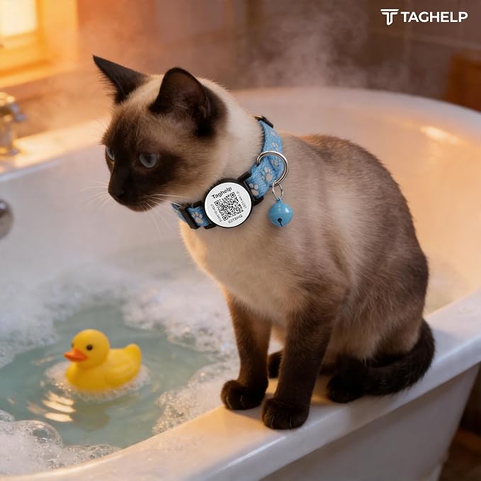 2 Pack QR Code Cat Collar with Instant Lost Pet Recovery System, Scan for Urgent Alerts & Location Info, Breakaway Reflective Collar with Safety Bell (Blue & Pink)