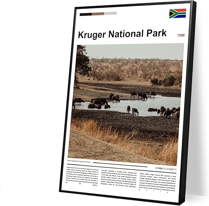 Poster Kruger National Park Wall Art Original Design(24"x16" Unframed) South Africa Safari Wildlife Print African Buffalo Savanna Landscape Nature Scenery Travel Landmark Series Picture