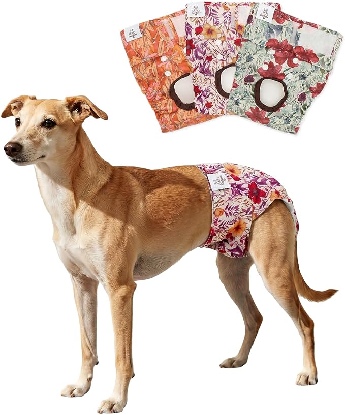 CuteBone Dog Diapers Female Washable Small Medium Large 3 Pack Reusable Doggie Diapers Puppy Period Pants for Doggy Heat Cycle Peeing