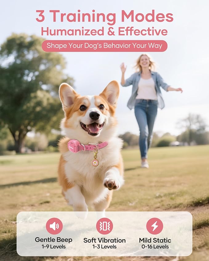 Shock Collar for 5-30lbs Mini Small Dogs,4200FT Range,Pink | Dog Training Collar with Remote,IPX8-Waterproof Rechargeable E-Collar with Beep, Vibration, Safe Shock,Security Lock