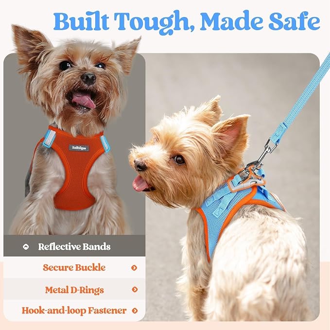 rabbitgoo Dog Harness Small Sized and Leash Set, Step-in Puppy Pet Vest | Light, Soft, Breathable Air Mesh, Easy on and Remove with Hook & Loop, Secure Reflective for Walking, Blue & Orange M