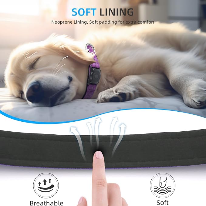 Upgrade Dog Collar with AirTag Holder, IP68 Waterproof, Purple, L | Built-in Water Resistant AirTag holder, 1000D Nylon, Reflective Stitching for Night Visibility, Soft padding for Comfort