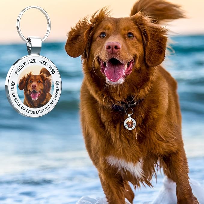 MYLUCKYTAG Personalized QR Code Pet ID | Dog & Cat Collar Tag | Online Profile with Instant Scanned Location Alert Email
