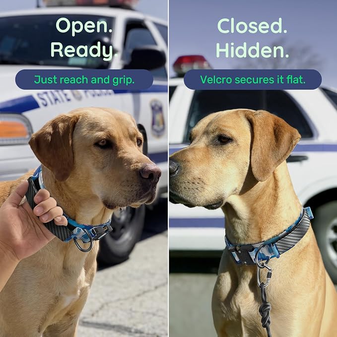 Premium Tactical Dog Collar - Adjustable Military Heavy Duty Dog Collar for Medium Large Dogs - Durable Metal Buckle Dog Collar with Leather Control Handle and Soft Comfortable Padding
