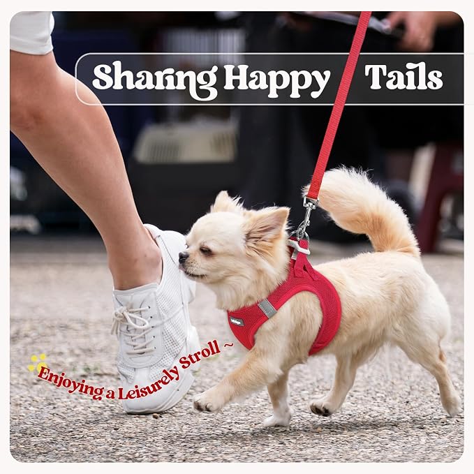 rabbitgoo Dog Harness Medium Sized and Leash Set, Step-in Puppy Pet Vest | Light, Soft, Breathable Air Mesh, Easy on and Remove with Hook & Loop, Secure Reflective for Walking, Red XXL