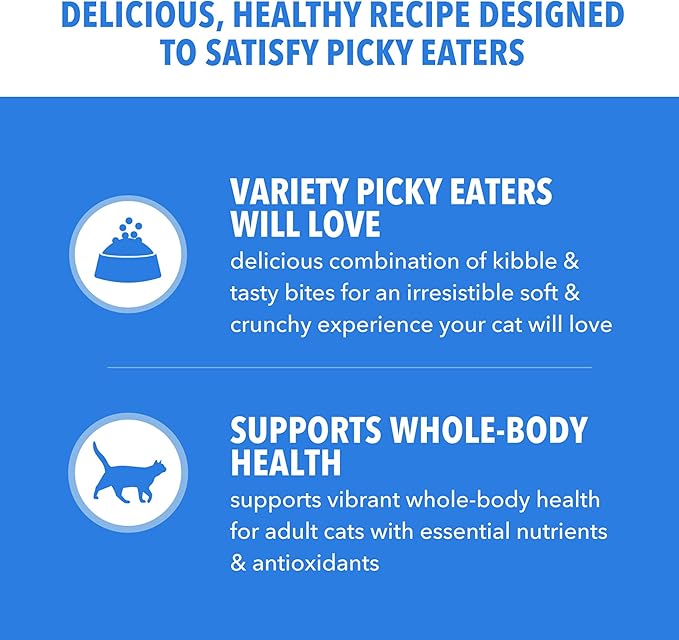 IAMS Healthy Enjoyment Dry Cat Food, Chicken & Salmon Recipe, 15 lb | Vet-recommended, Real Chicken #1 ingredient, Natural fiber & prebiotics, Supports Immune & Digestive Health, Muscle Care