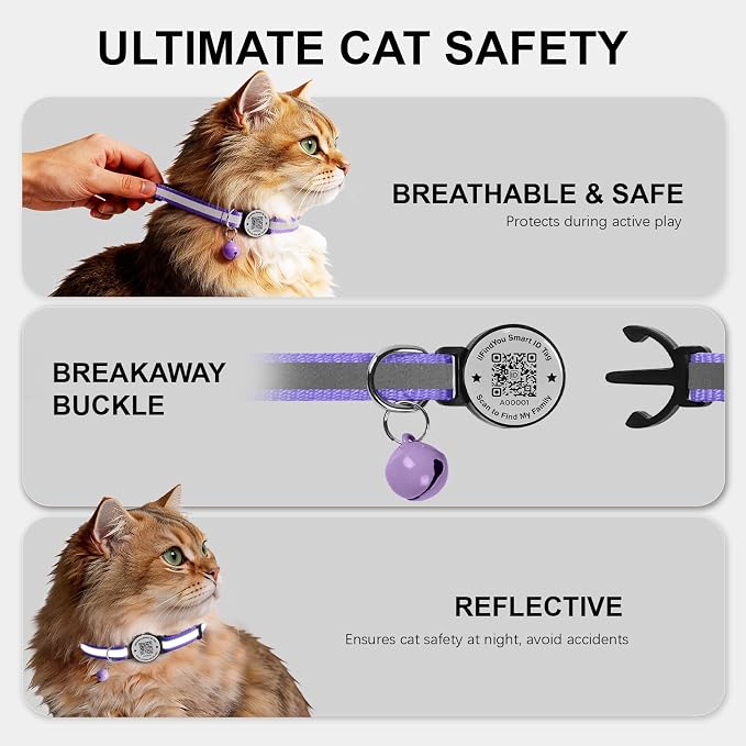 Breakaway Cat Collar QR Code, Reflective Bell, Adjustable Kitten, Purple