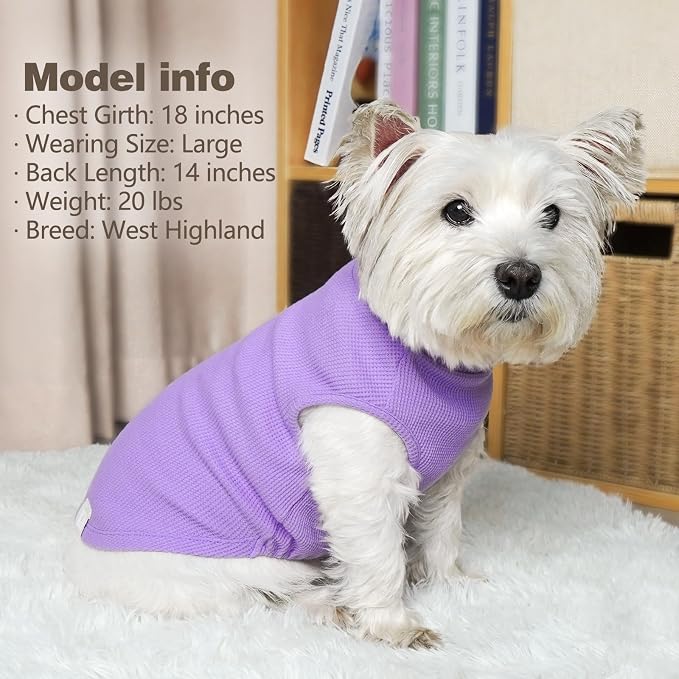 KYEESE 2Pack Dog Shirts Waffle for Small Dogs Stretchy Dog T-Shirts Lightweight Dogs Tank Top Sleeveless Pet Vest Breathable, X-Large, Purple+Grey | Cozy Warmth, Lightweight & Breathable, Gentle on Sensitive Skin, Stretchy & Free to Move, Comfortable D...