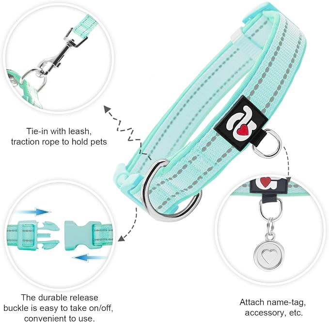 azuza Airtag Dog Collar, Small Dog Collar with Airtag Holder, Teal, S