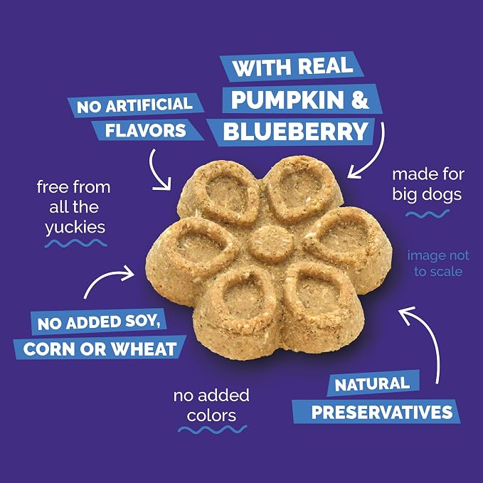 Fruitables Biggies Dog Biscuits, Pumpkin & Blueberry Flavor, 16oz | Healthy Dog Treats, Crunchy Dog Biscuits, Large Breed Snacks, Wholesome Ingredients, Healthy Puppy Snacks, Made in USA