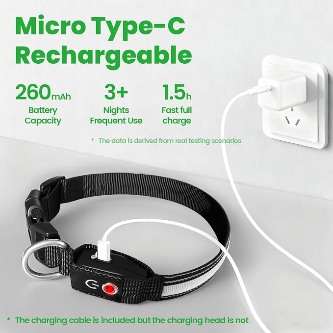 Auto Light Up Dog Collar - Smart Safety Night Collar with Motion Sensor - Auto-On in Dark - USB-C Rechargeable - 3 Day Runtime- IP65 Waterproof (S 11-15")