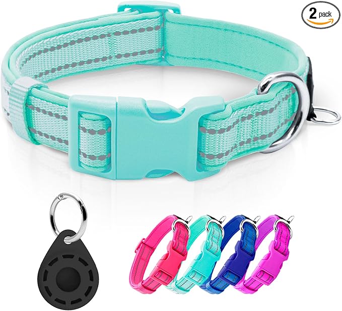 azuza Airtag Dog Collar, Puppy Collar with Airtag Holder, Teal, XS