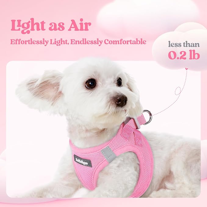 rabbitgoo Dog Harness Medium Sized and Leash Set, Step-in Puppy Pet Vest | Light, Soft, Breathable Air Mesh, Easy on and Remove with Hook & Loop, Secure Reflective for Walking, Light Pink XXL