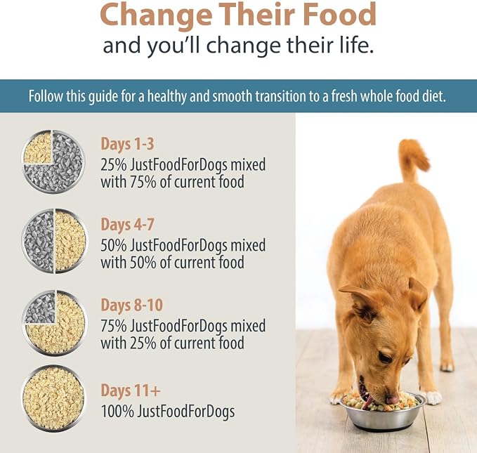 JustFoodForDogs Pantry Fresh Wet Dog Food, Complete Meal or Dog Food Topper, for Sensitive Stomachs, Balanced Remedy Human Grade Dog Food Recipe - 12.5 oz (Pack of 12) | Fresh Pet Meal or Dog Food Toppers for Sensitive Stomach, Human Grade, Preservativ...