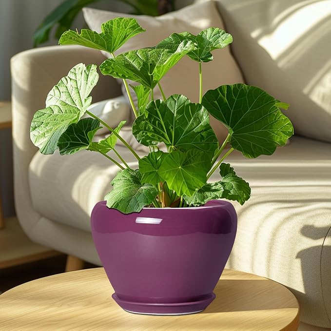 Ceramicfor Ceramic Planter - 8 Inch Plant Pot Indoor with Drainage Hole and Saucer, Glaze Decorative Planter, Round Flower Pot, Plant Lover Gifts, Home Garden Office Decor, Purple