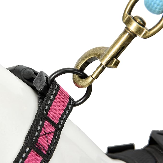 Mile High Life Reflective Dog Collar, Adjustable Lightweight Quick Release