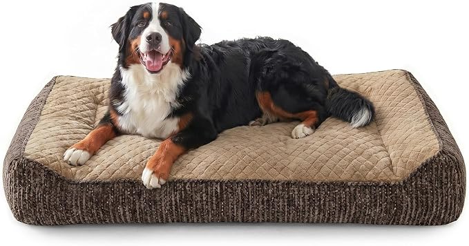 JOEJOY XL Orthopedic Dog Bed for Large Dogs - Extra Thick Foam Pet Bed Sofa with Bolster Sides, Large Sized Dog Couch Bed with Removable Washable Cover, Non-Slip Bottom, Brown (45"x32")