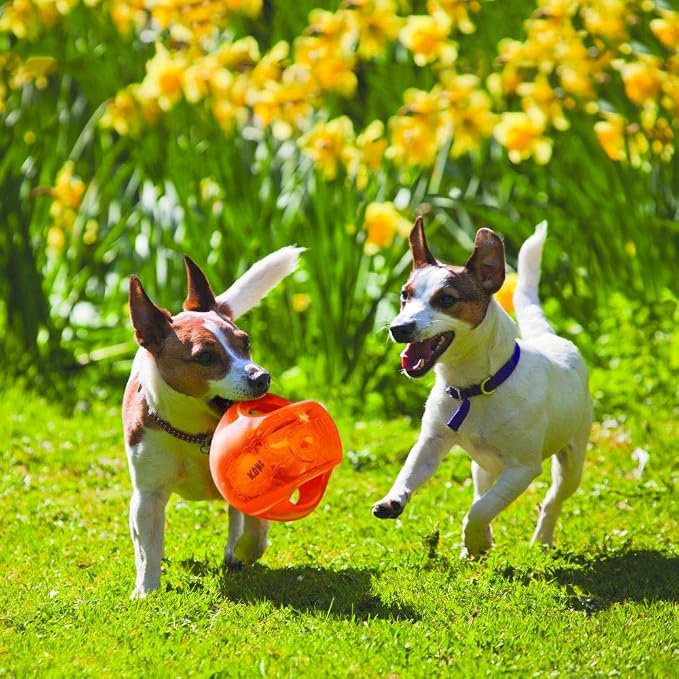 KONG Jumbler Ball, Interactive Fetch Toy, for Medium/Large Dogs, Assorted | Interactive Fetch Toy with a Tennis Ball Inside, Great for Engaging Dog & Puppy Playtime, Color May Vary