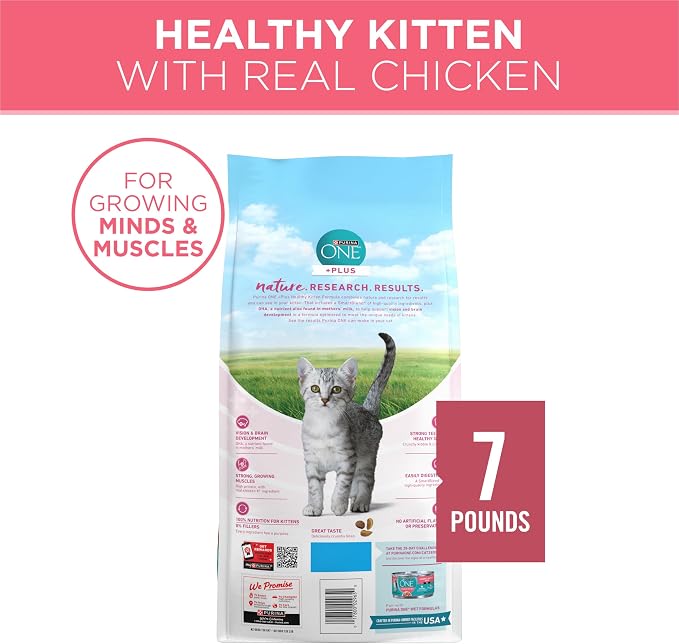 Purina ONE High Protein Natural Kitten Dry Cat Food, 7 lb Bag | Made with real chicken to support growing muscles, DHA for kitten brain development and antioxidants for immunity