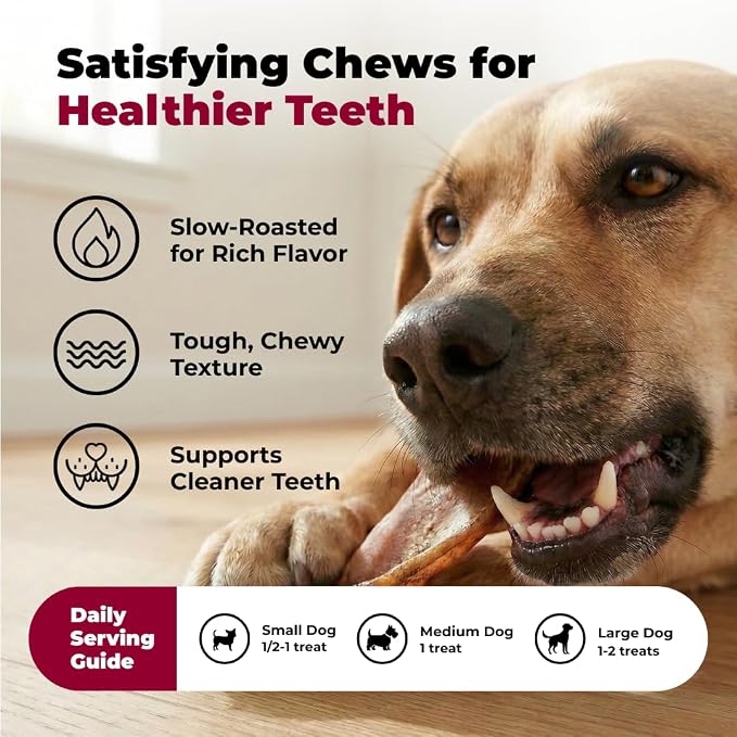 Best Pet Supplies GigaBite Whole Pig Ears for Dogs - 12 Count | Single Ingredient, All Natural, Supports Dental Health, Perfect for Training, Slow Roasted Chews