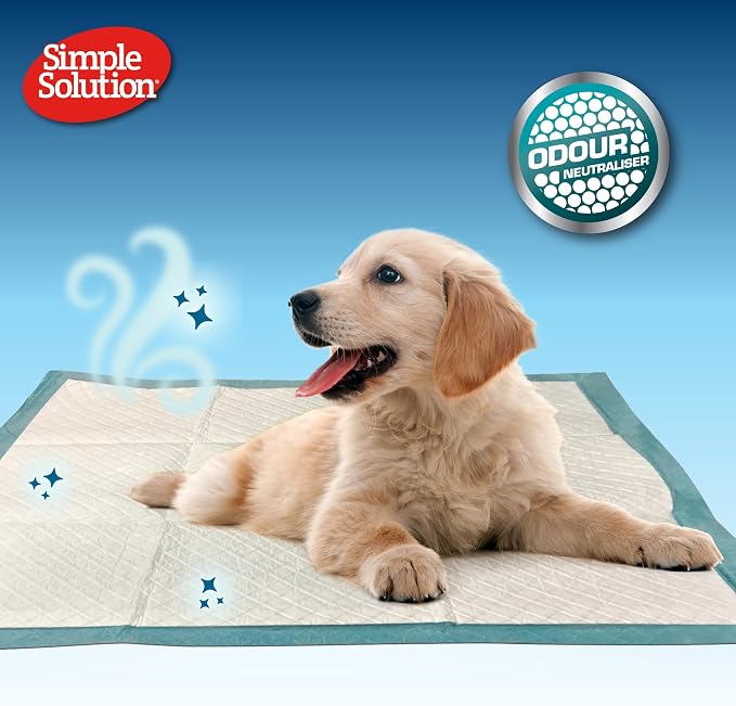 Simple Solution All Day Dog Potty Training Pads, Lavender, 23"x24" 50 Count | Pee Pads for Dogs, Leak Proof, Odor Control, Extra Absorbent, Quick Dry, Indoor Potty, Floor Protection, Puppy Training