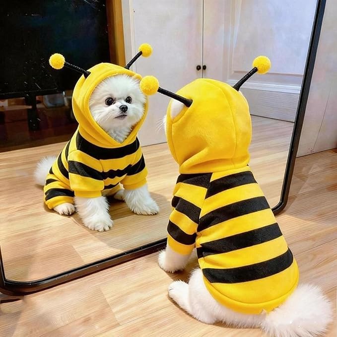 Fleece Lined Bumble Bee Design Dog Hoodie Costume with Antennae, XS | Four Seasons Cute Pet Clothing & Halloween Cosplay For 2-18 Lbs Dog Cat French Bulldog Chihuahua Pinscher Poodle Dachshund