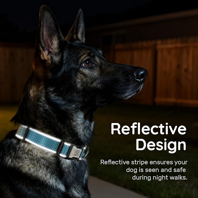 Reflective Dog Collar for Small Dogs,Personalized Dog Collar with Online Profile, Soft Neoprene Padded,Anti-Lose Function with QR Code Tag System,Blue S