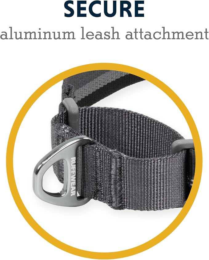 Ruffwear, Web Reaction Martingale Dog Collar, Basalt Gray, 20"-23"