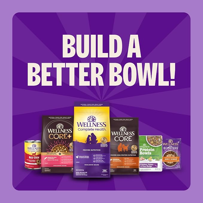 Wellness Complete Health Small Breed Puppy Dry Dog Food, Wholesome Grain Kibble, Natural, Turkey, Oatmeal, and Salmon Recipe, 4 lb Bag