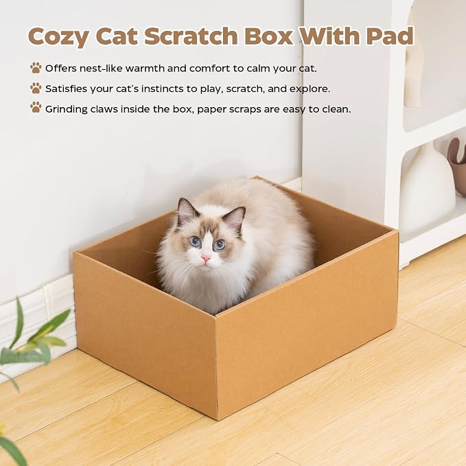 Avont 3-Piece Cardboard Cat Scratcher Set for Indoor Cats | Corrugated Cat Scratchers with Scratch Pad, Scratch Box and Lounge Bed