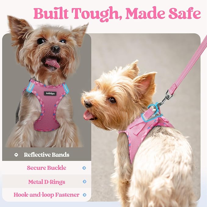 rabbitgoo Dog Harness Small Sized and Leash Set, Step-in Puppy Pet Vest | Light, Soft, Breathable Air Mesh, Easy on and Remove with Hook & Loop, Secure Reflective for Walking, Pink & Plaid Trim M