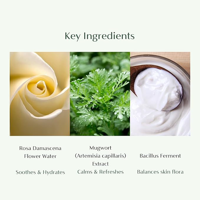 CAELA Feminine Wash Gel Fairgreen, pH-Balanced Intimate Cleanser for Women, Triple Lactobacillus Ferment Complex, Vegan K-Beauty with Green Tea & Mugwort, Sulfate-Free, 6.76 Fl Oz