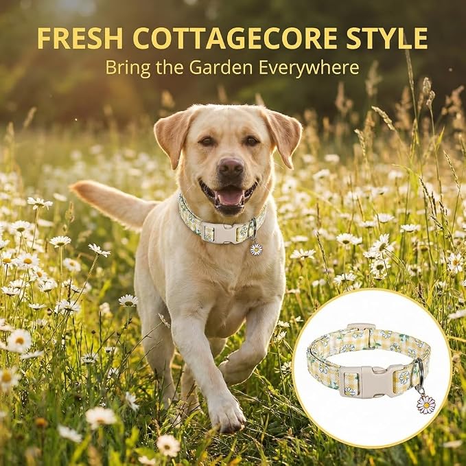 Cute Dog Collar, Yellow Plaid Dog Collar with White Floral Pattern, Spring Summer Design Floral Collar for Girls Boys Extra Small Dogs, Yellow Checkered Daisy, XS