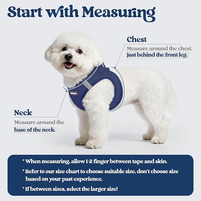 rabbitgoo Dog Harness Medium Sized and Leash Set, Step-in Puppy Pet Vest | Light, Soft, Breathable Air Mesh, Easy on and Remove with Hook & Loop, Secure Reflective for Walking, Navy Blue XXL