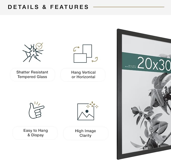 MCS Studio Gallery 20x30 Poster Frame Black Woodgrain Engineered Wood, Vertical & Horizontal Wall Hanging Large Picture Frame for Photos, Posters & Art Prints (2-Pack)