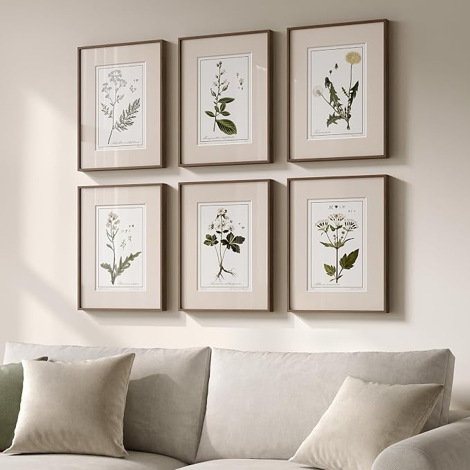 Framed Vintage Botanical Wall Art, 6 Piece Rustic Floral Canvas Painting Prints Artwork for Kitchen Walls, Neutral Flower Pictures for Living Room Bedroom Dining Room Farmhouse Wall Decor, 11x14