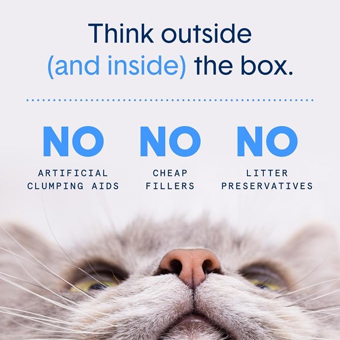 Boxie Probiotic Lightweight Clumping Cat Litter 40+ Day Odor Control 6.5 lb