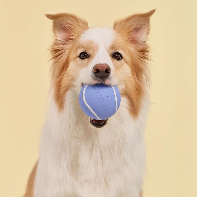 Playology Squeaky Chew Ball Dog Toy - Jumbo, Blueberry Scent
