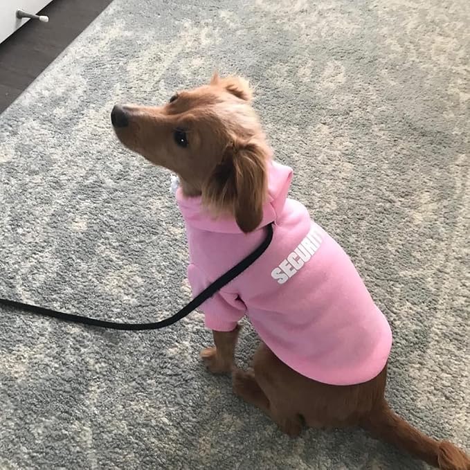 BINGPET Security Dog Hoodie, Pet Sweater Clothes with Leash Hole, Pink | Warm Dog Sweatshirt for Small Medium Large Dogs, All-Season Cold Weather Comfort & Fit, Soft Winter Hooded Pullover Outfit