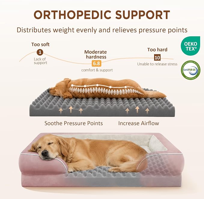 Comfort Expression Waterproof Orthopedic Dog Beds for Large Sized Dog | Supportive Egg Crate Foam Large Pet Bed with Removable Bolster, Dog Couch with Washable Cover & Non-Slip Bottom, 36x27 Inch
