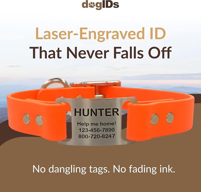 dogIDs Personalized Dog Collar – ScruffTag Custom Waterproof Biothane Dog Collar with Laser-Engraved Name, Durable & Odor-Resistant – USA Made | Blaze Orange, 1 in x 16 in (Fits Neck Sizes 14-18 in)