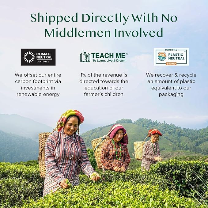 VAHDAM, Assorted Chai Tea Variety Pack (6 Delicious Flavors, 36 Eco Friendly Pyramid Tea Bags) Caffeinated, Gluten Free, Non GMO | Indian Masala Chai Tea Blends | Tea Gift Set for Men and Women