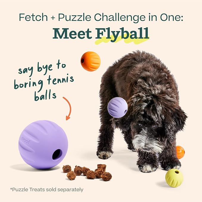 WOOF Flyball Fetch Ball & Dog Treat Dispenser Toy, 3-Pack | 2-in-1 fetch ball, fits standard ball launchers, treat dispenser, durable rubber, dishwasher safe, puzzle enrichment