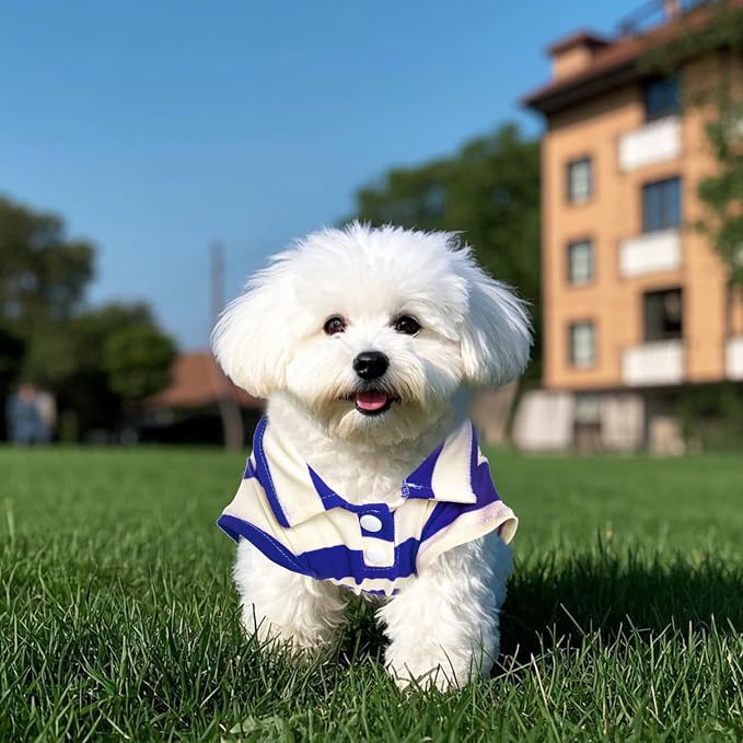 Pistha Dog Shirt Polo Shirt Striped Puppy Clothes for Boy Girl Pets | Dog Shirt Dog Clothes Pet Clothes with Summer Button Up for Small Medium Dogs Cats