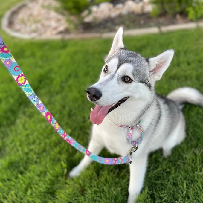 Lucky Love Dog Martingale Collar & Leash Set No Slip Cute – Caroline, Large