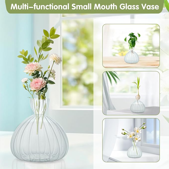 Large Avocado Grow Vase Glass Striped Acorn Seed Starter Vase for Growing | Premium Glass Avocados Growing Vases, Clear Avocados Pit Planter Pot, Ideal for Gardening Lover Indoor Hydroponics