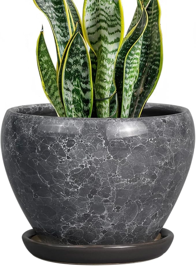 Ceramicfor 8 Inch Plant Pot - Ceramic Planter Pot with Drainage Hole and Saucer, Glaze Garden Pot Modern Flower Pot for Indoor Plants, Gray