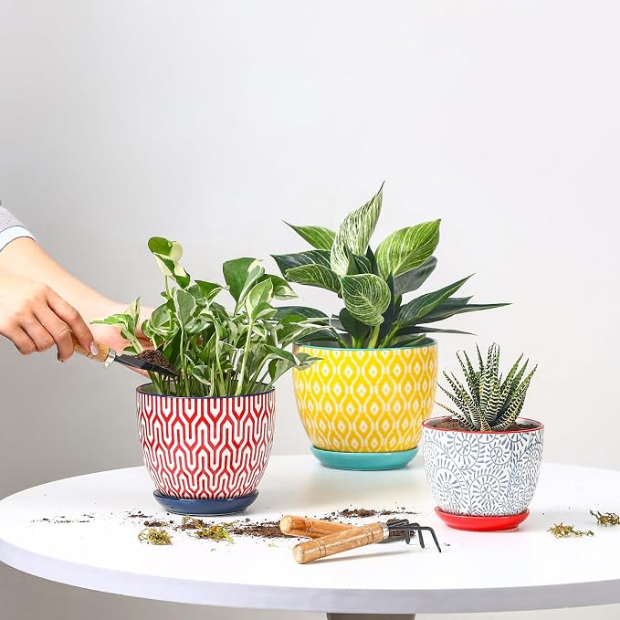 Selamica Ceramic Plant Pots, 4.6+5.6+6.5 Inch Planters with Drainage Holes & Saucer, Flower Pots for Indoor Plants, Home Decor, Set of 3, Assorted Colors