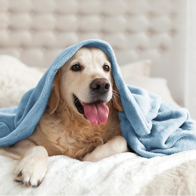 BEDELITE Fleece Blanket Soft Queen Size Bed Blanket Washed Blue 90"x90" | Ultra Soft Fleece, Plush Microfiber, Lightweight Warmth, All Season Comfort, Fade Resistant, Machine Washable,Perfect for Bed