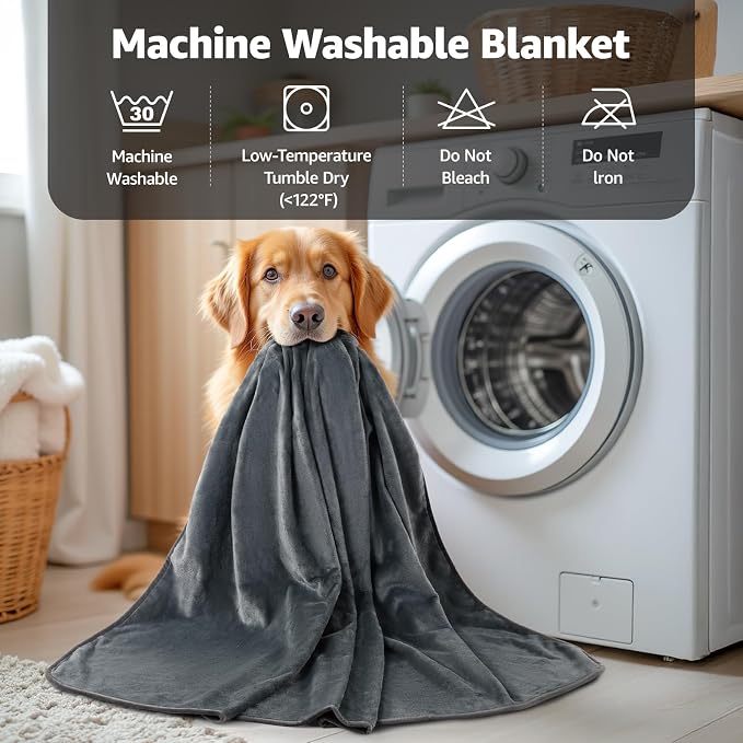 LOOBANI Waterproof Blanket for Bed, Soft Flannel Twin Bed Blanket 60" x 80" | Reversible Leakproof Dog Pet Blanket for Pet Accidents, Cozy Warm Throw for Couch Cover, Movie Time, Camping, Travel, Grey